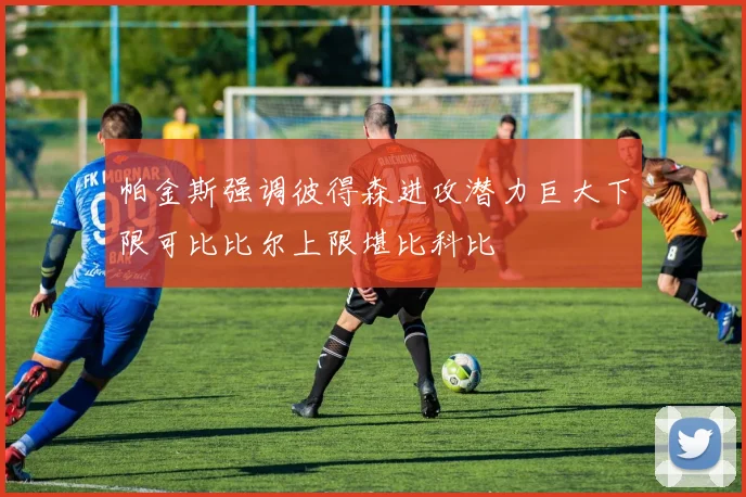 帕金斯强调彼得森进攻潜力巨大下限可比比尔上限堪比科比