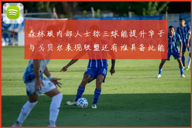 森林狼内部人士称三球能提升华子与戈贝尔表现联盟还有谁具备此能力